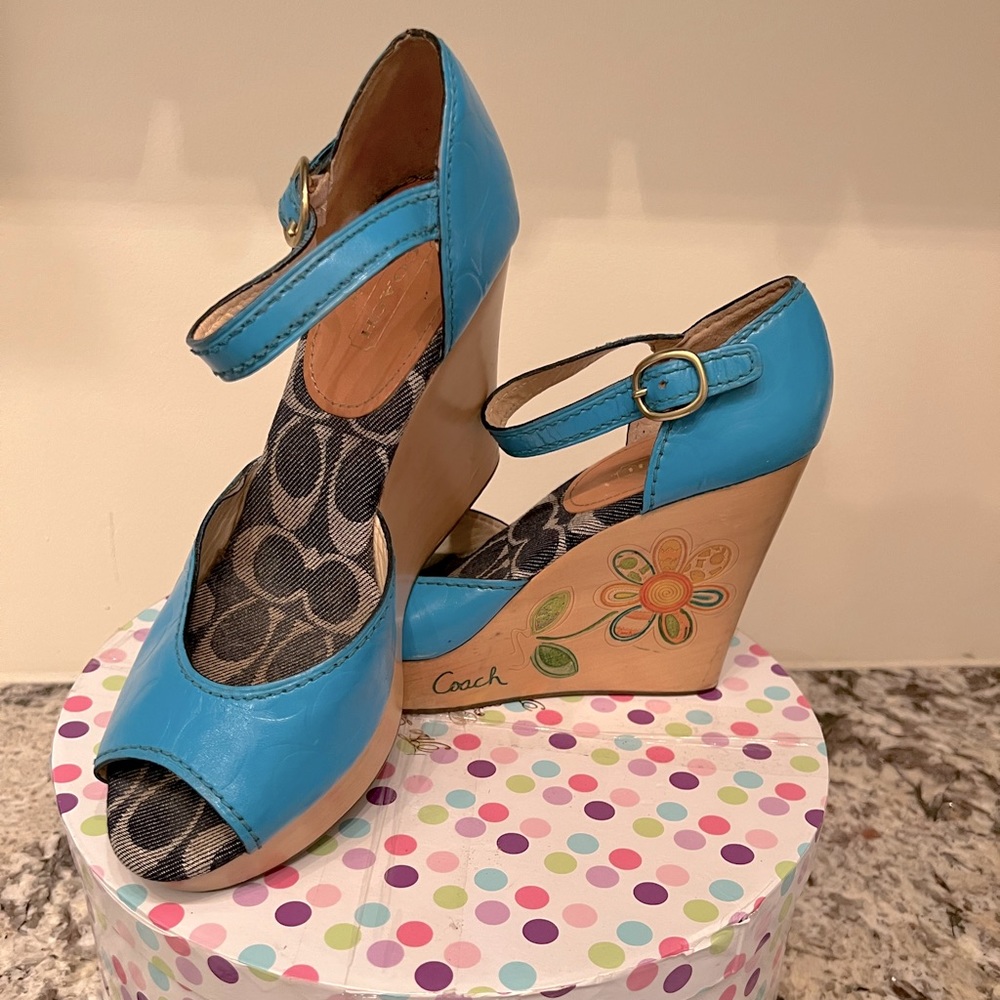 Costumed Designed Coach Platforms